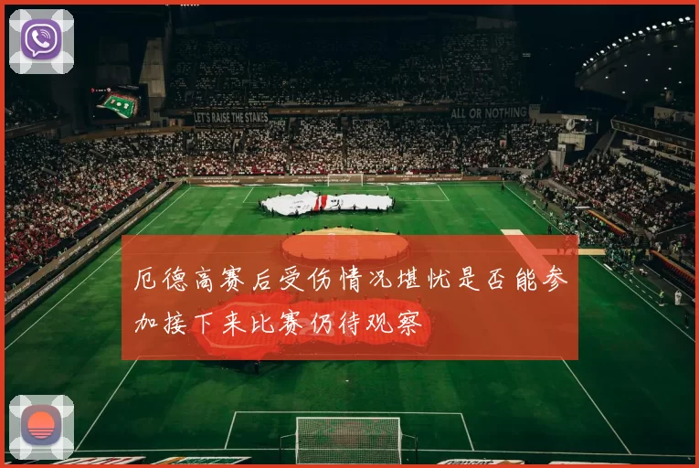 厄德高赛后受伤情况堪忧是否能参加接下来比赛仍待观察